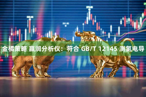 金橘策略 赢润分析仪：符合 GB/T 12145 测氢电导