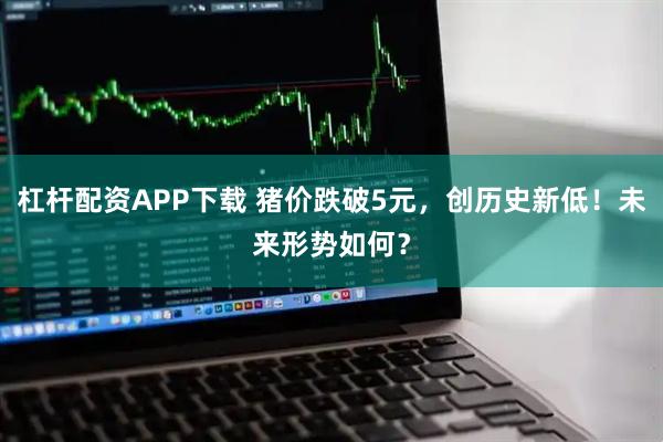 杠杆配资APP下载 猪价跌破5元，创历史新低！未来形势如何？