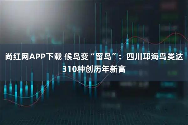 尚红网APP下载 候鸟变“留鸟”：四川邛海鸟类达310种创历年新高