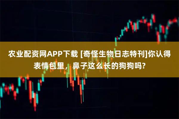 农业配资网APP下载 [奇怪生物日志特刊]你认得表情包里，鼻子这么长的狗狗吗?