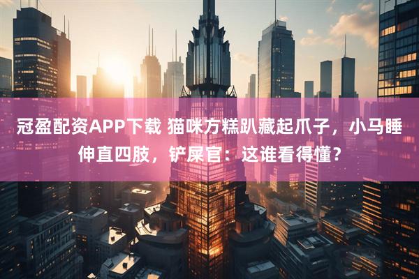冠盈配资APP下载 猫咪方糕趴藏起爪子，小马睡伸直四肢，铲屎官：这谁看得懂？