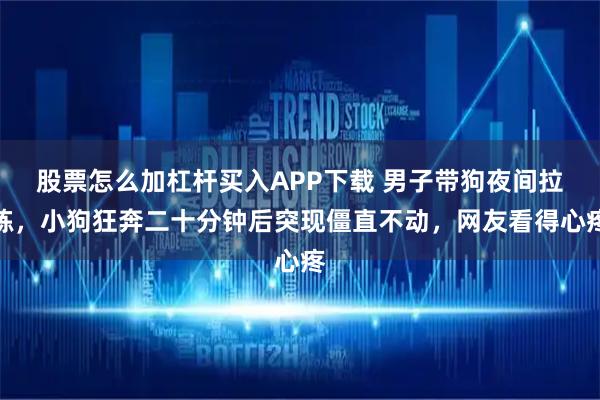 股票怎么加杠杆买入APP下载 男子带狗夜间拉练，小狗狂奔二十分钟后突现僵直不动，网友看得心疼