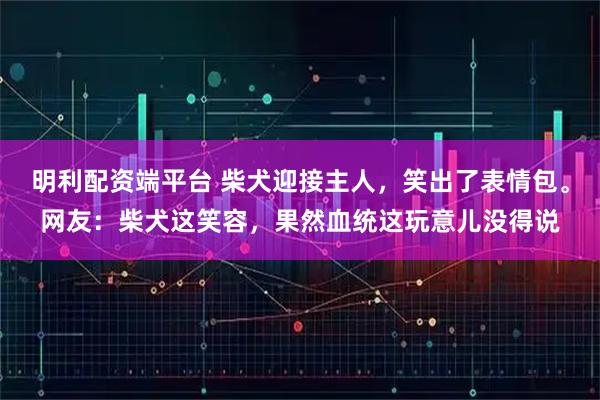 明利配资端平台 柴犬迎接主人，笑出了表情包。网友：柴犬这笑容，果然血统这玩意儿没得说