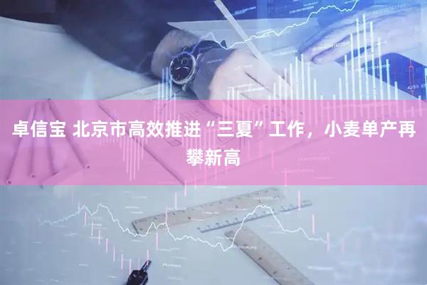 卓信宝 北京市高效推进“三夏”工作，小麦单产再攀新高